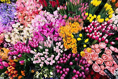 《双人成行》名称与Take Two相似 开发商被迫放弃所有权