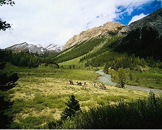 《热血三国志：全员集结》公布新角色 介绍故事模式